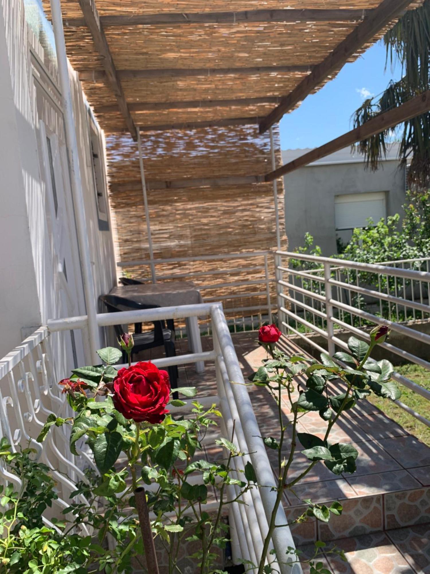 Apartmani Antonela Seline Zewnętrze zdjęcie